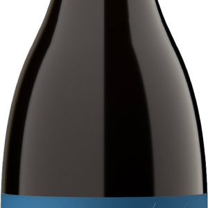 Ca' Bolani Refosco dal Peduncolo Rosso DOC 2021